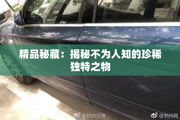 精品秘藏：揭秘不为人知的珍稀独特之物