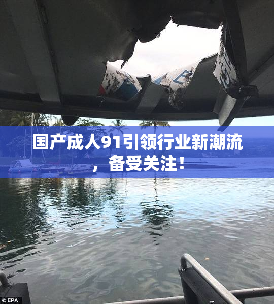 国产成人91引领行业新潮流，备受关注！