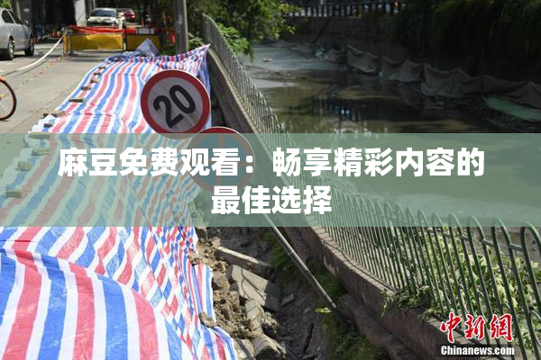 麻豆免费观看：畅享精彩内容的最佳选择