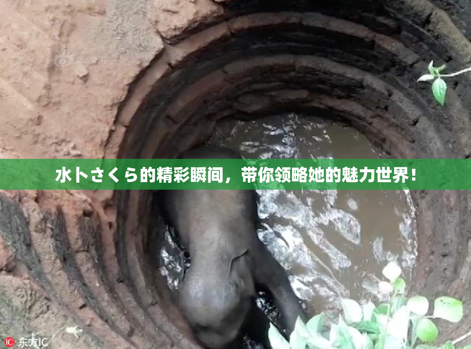 水卜さくら的精彩瞬间，带你领略她的魅力世界！