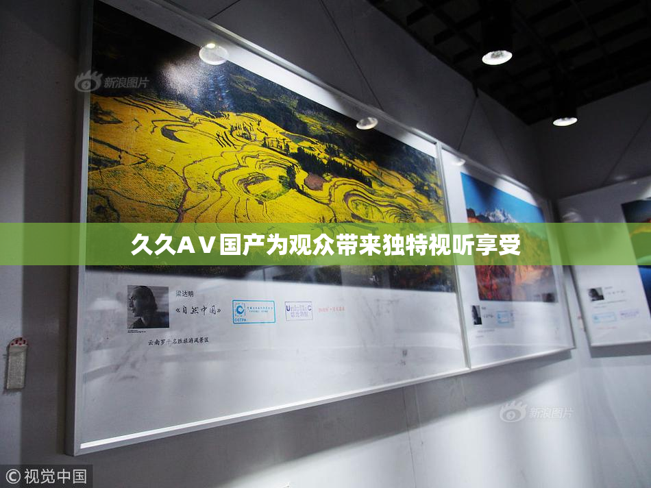久久AⅤ国产为观众带来独特视听享受