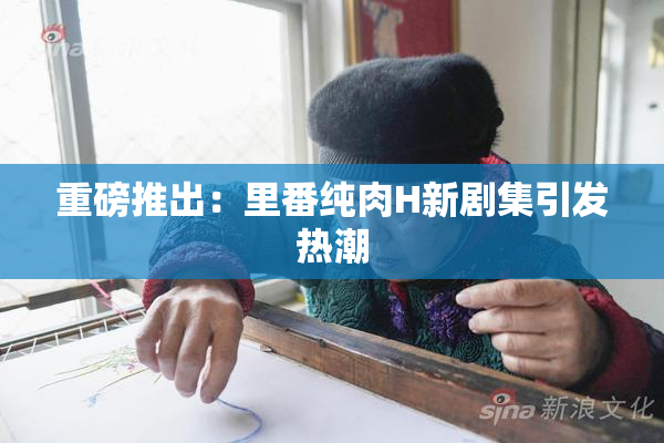 重磅推出：里番纯肉H新剧集引发热潮