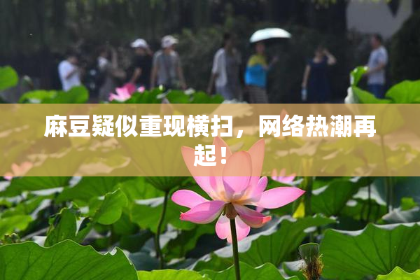 麻豆疑似重现横扫，网络热潮再起！