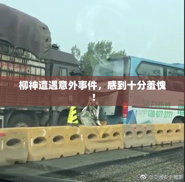 柳神遭遇意外事件，感到十分羞愧！
