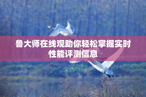 鲁大师在线观助你轻松掌握实时性能评测信息