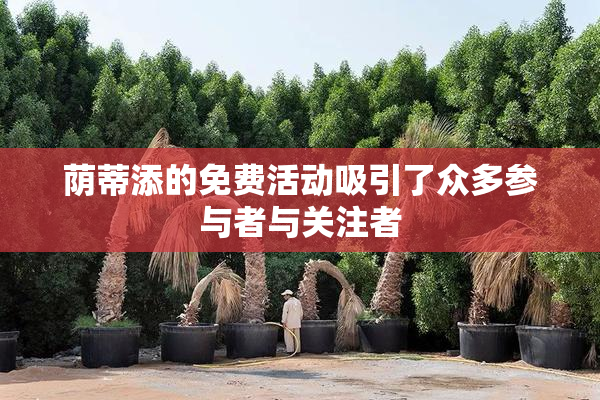 荫蒂添的免费活动吸引了众多参与者与关注者