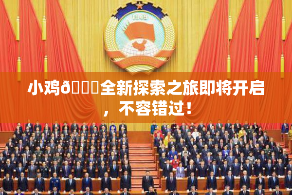 小鸡🐔全新探索之旅即将开启，不容错过！