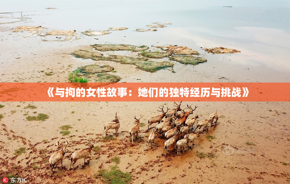 《与拘的女性故事：她们的独特经历与挑战》