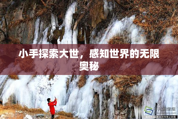 小手探索大世，感知世界的无限奥秘