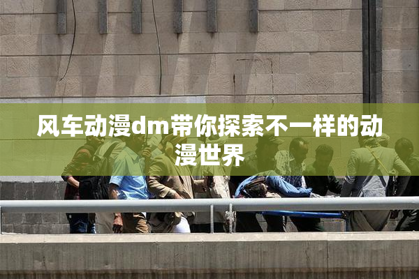 风车动漫dm带你探索不一样的动漫世界