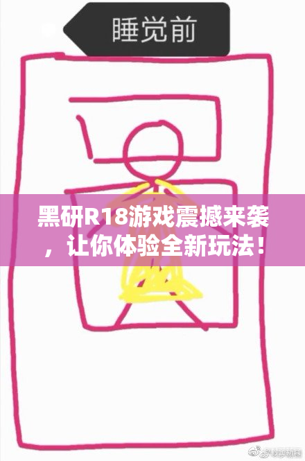 黑研R18游戏震撼来袭，让你体验全新玩法！