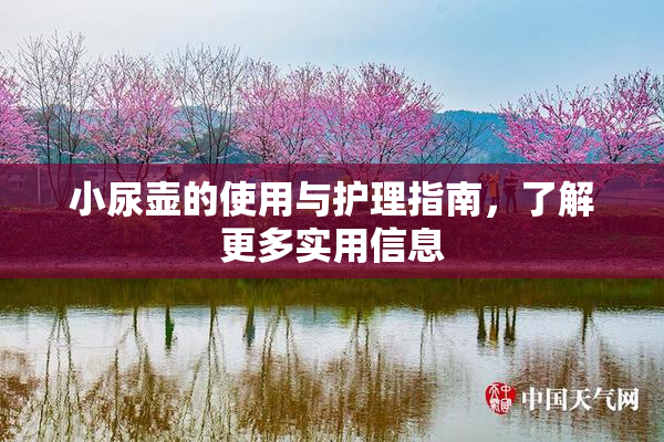 小尿壶的使用与护理指南，了解更多实用信息