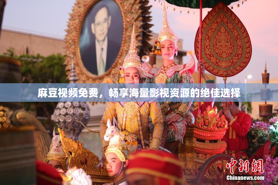 麻豆视频免费，畅享海量影视资源的绝佳选择