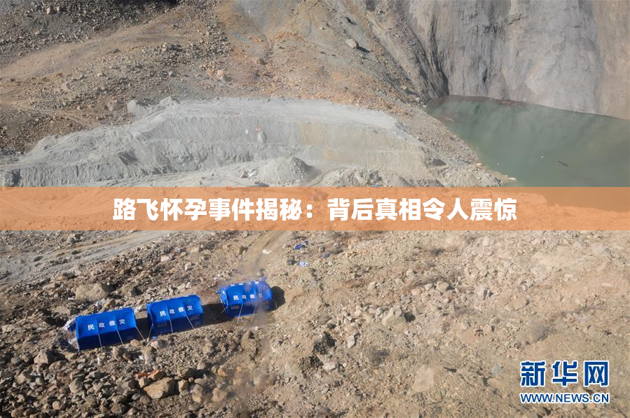 路飞怀孕事件揭秘：背后真相令人震惊