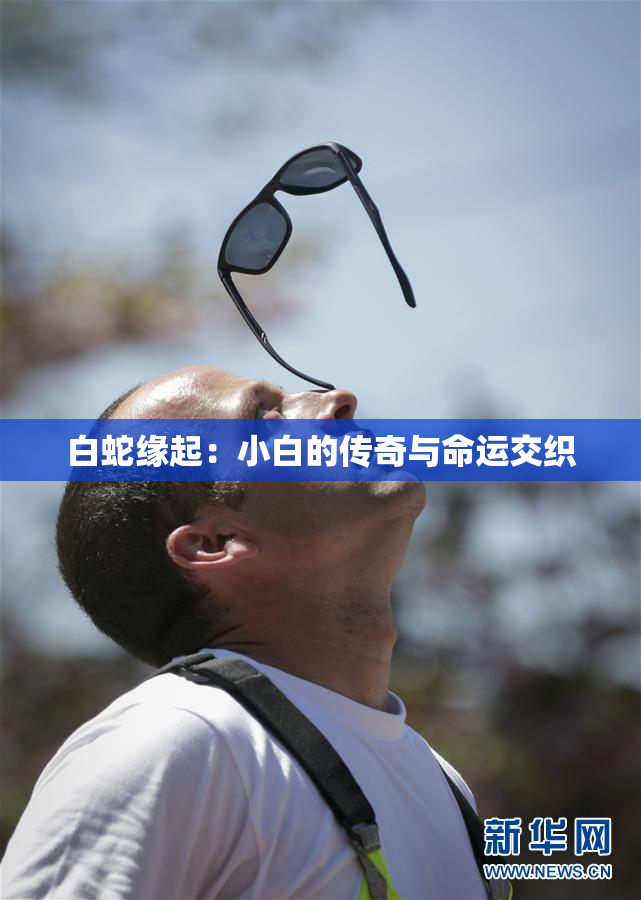 白蛇缘起：小白的传奇与命运交织