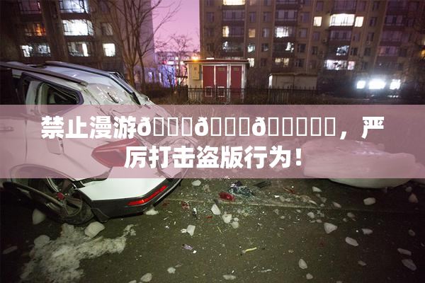 禁止漫游🍆🍑🔞❌‌，严厉打击盗版行为！