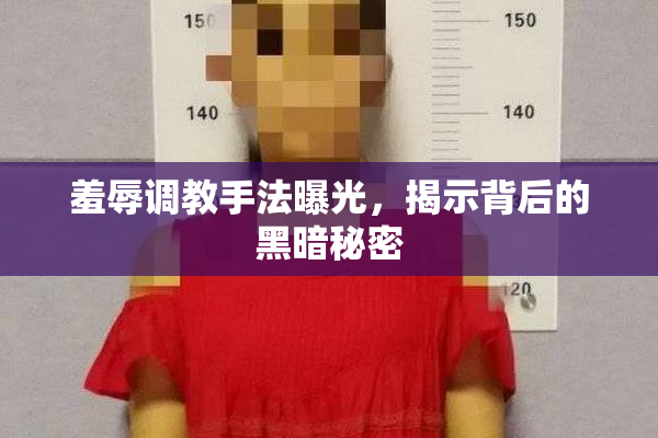 羞辱调教手法曝光，揭示背后的黑暗秘密