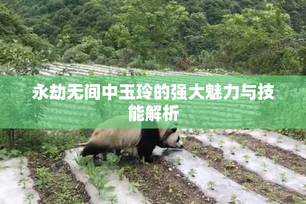 永劫无间中玉玲的强大魅力与技能解析