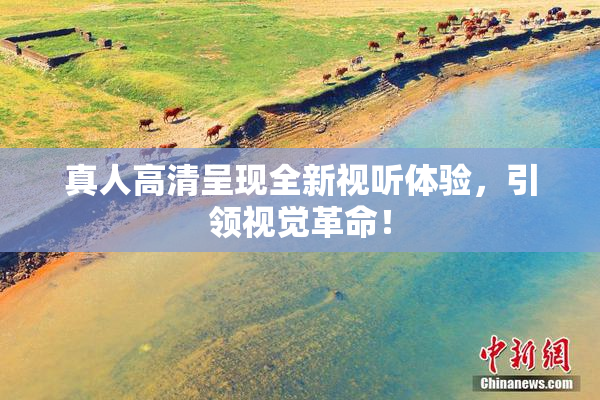 真人高清呈现全新视听体验，引领视觉革命！