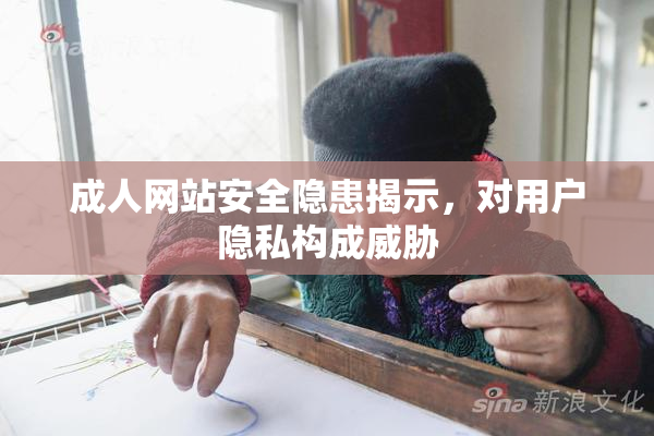 成人网站安全隐患揭示，对用户隐私构成威胁