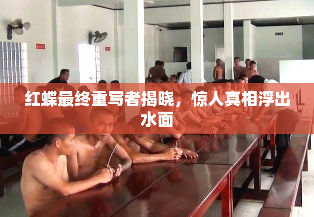 红蝶最终重写者揭晓，惊人真相浮出水面
