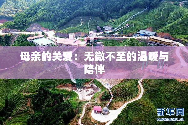母亲的关爱：无微不至的温暖与陪伴