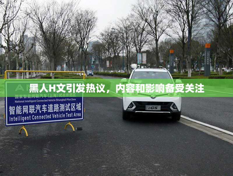 黑人H文引发热议，内容和影响备受关注