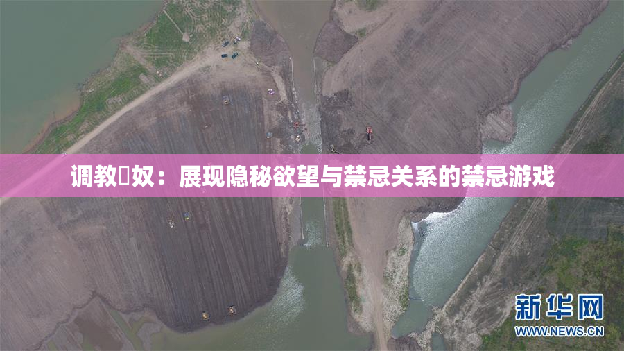 调教婬奴：展现隐秘欲望与禁忌关系的禁忌游戏