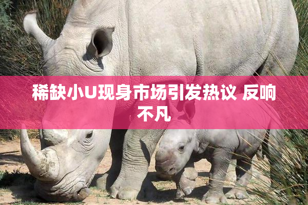 稀缺小U现身市场引发热议 反响不凡