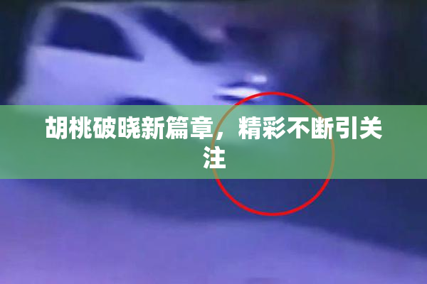 胡桃破晓新篇章，精彩不断引关注