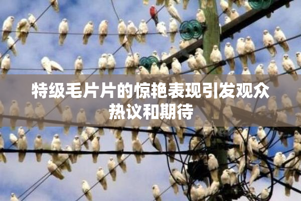 特级毛片片的惊艳表现引发观众热议和期待