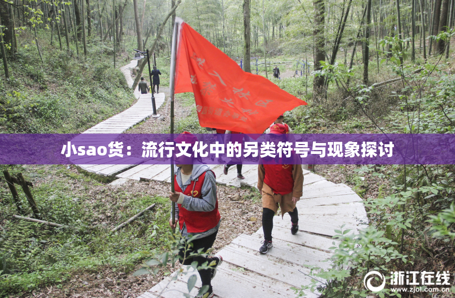 小sao货：流行文化中的另类符号与现象探讨