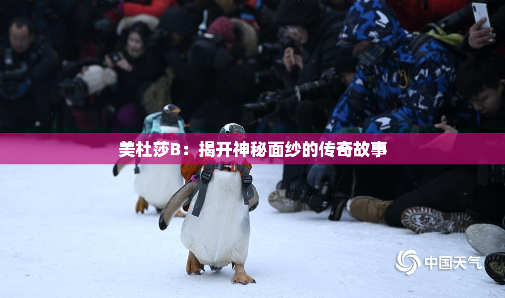 美杜莎B：揭开神秘面纱的传奇故事