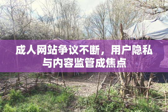 成人网站争议不断，用户隐私与内容监管成焦点
