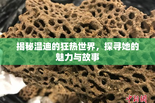 揭秘温迪的狂热世界，探寻她的魅力与故事