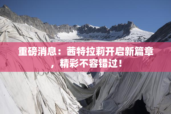 重磅消息：茜特拉莉开启新篇章，精彩不容错过！