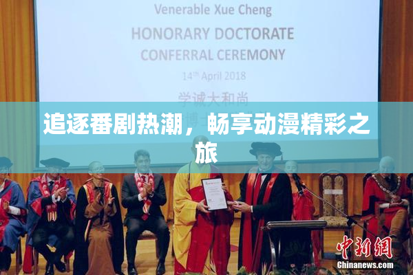 追逐番剧热潮，畅享动漫精彩之旅