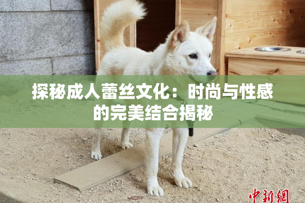 探秘成人蕾丝文化：时尚与性感的完美结合揭秘