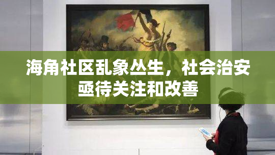 海角社区乱象丛生，社会治安亟待关注和改善