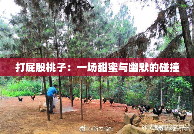 打屁股桃子：一场甜蜜与幽默的碰撞