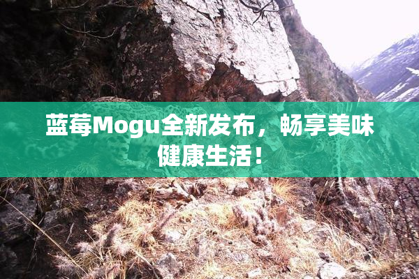 蓝莓Mogu全新发布，畅享美味健康生活！