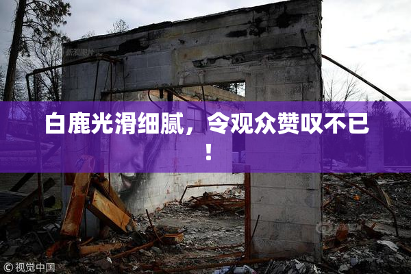 白鹿光滑细腻，令观众赞叹不已！
