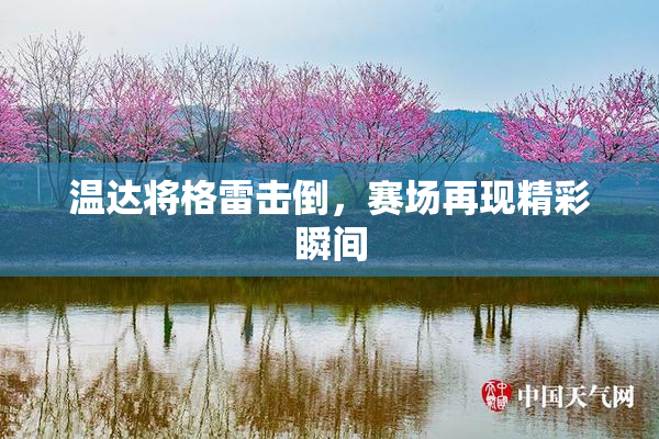 温达将格雷击倒，赛场再现精彩瞬间