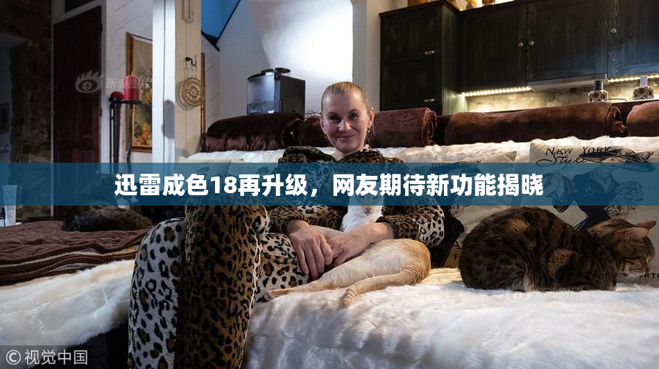 迅雷成色18再升级，网友期待新功能揭晓