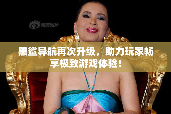黑鲨导航再次升级，助力玩家畅享极致游戏体验！