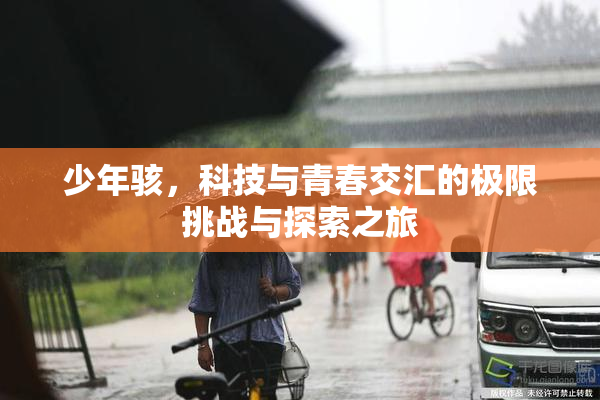 少年骇，科技与青春交汇的极限挑战与探索之旅