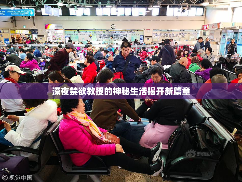 深夜禁欲教授的神秘生活揭开新篇章