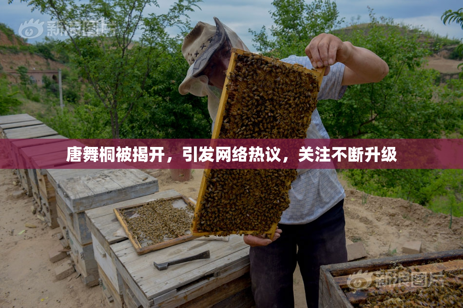 唐舞桐被揭开，引发网络热议，关注不断升级