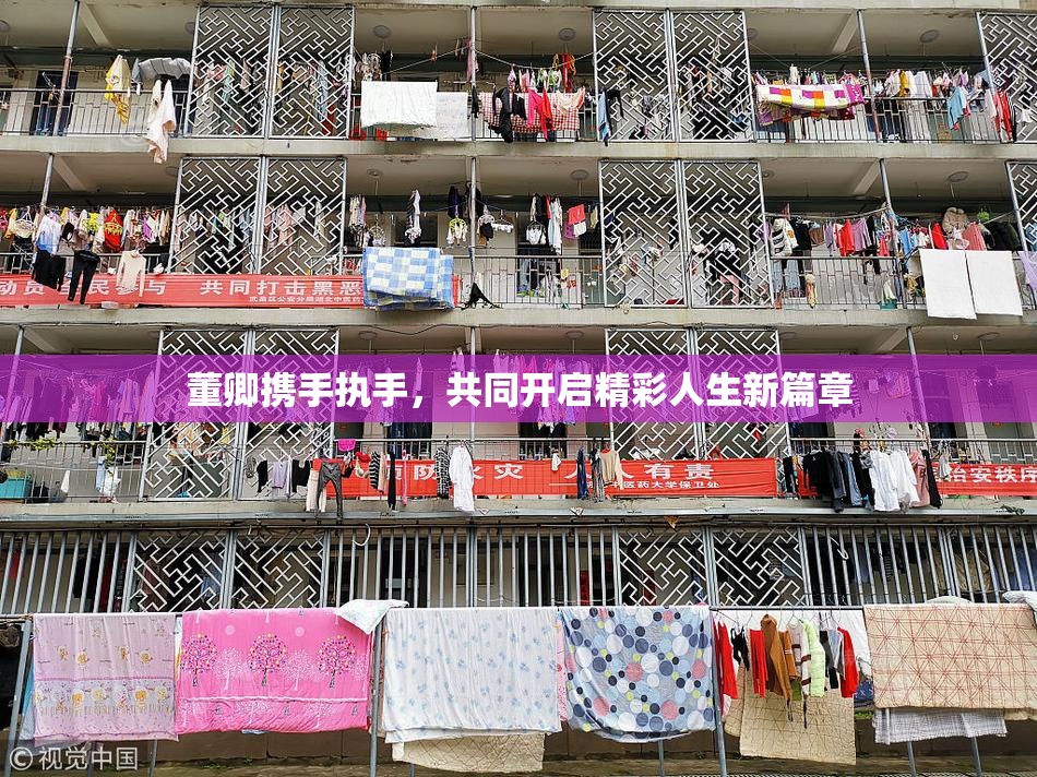 董卿携手执手，共同开启精彩人生新篇章