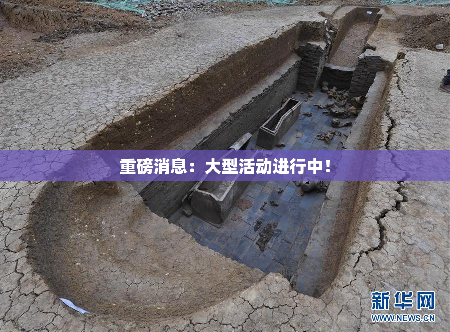重磅消息：大型活动进行中！